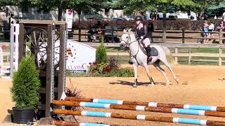Celebrity Colonial Classic Puddle Jumpers Profile