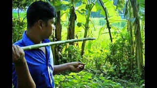 Primitive Technology: Spear Thrower how to make a long survival arrow (throwing arrow)