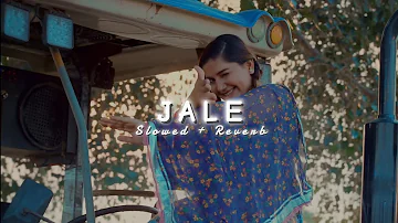 JALE - ( SLOWED & REVERB ) | Sapna Choudhary | AHs Music