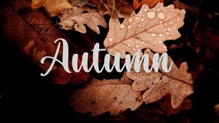 Autumn | Cinematic Autumn Video | The Travel | HD - Cinematic B roll