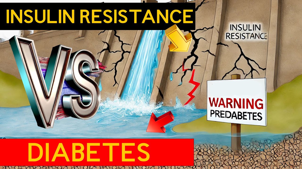Prediabetes vs diabetes vs insulin resistance early warnings and