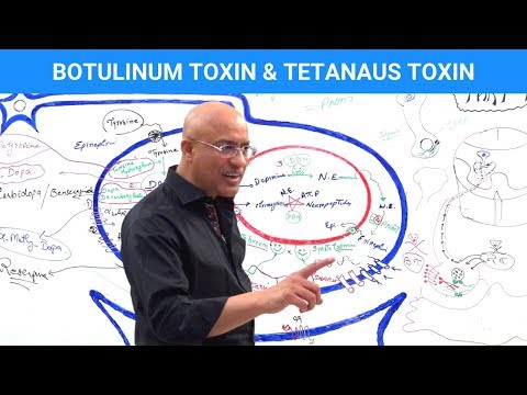 Botulinum Toxin & Tetanus Toxin Mechanism