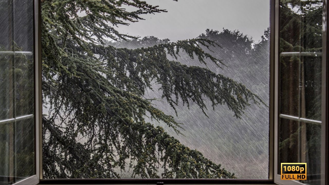 A.I Generated Rain Sound Video(100% Effective) Helps With Relaxing or Sleeping