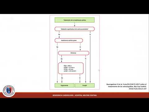 Clase: Insuficiencia Aórtica