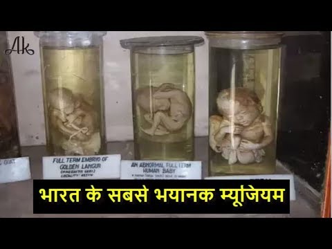 Video: Museum For Hindustan