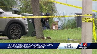 11-year-old boy accused of shooting, killing aunt charged with homicide