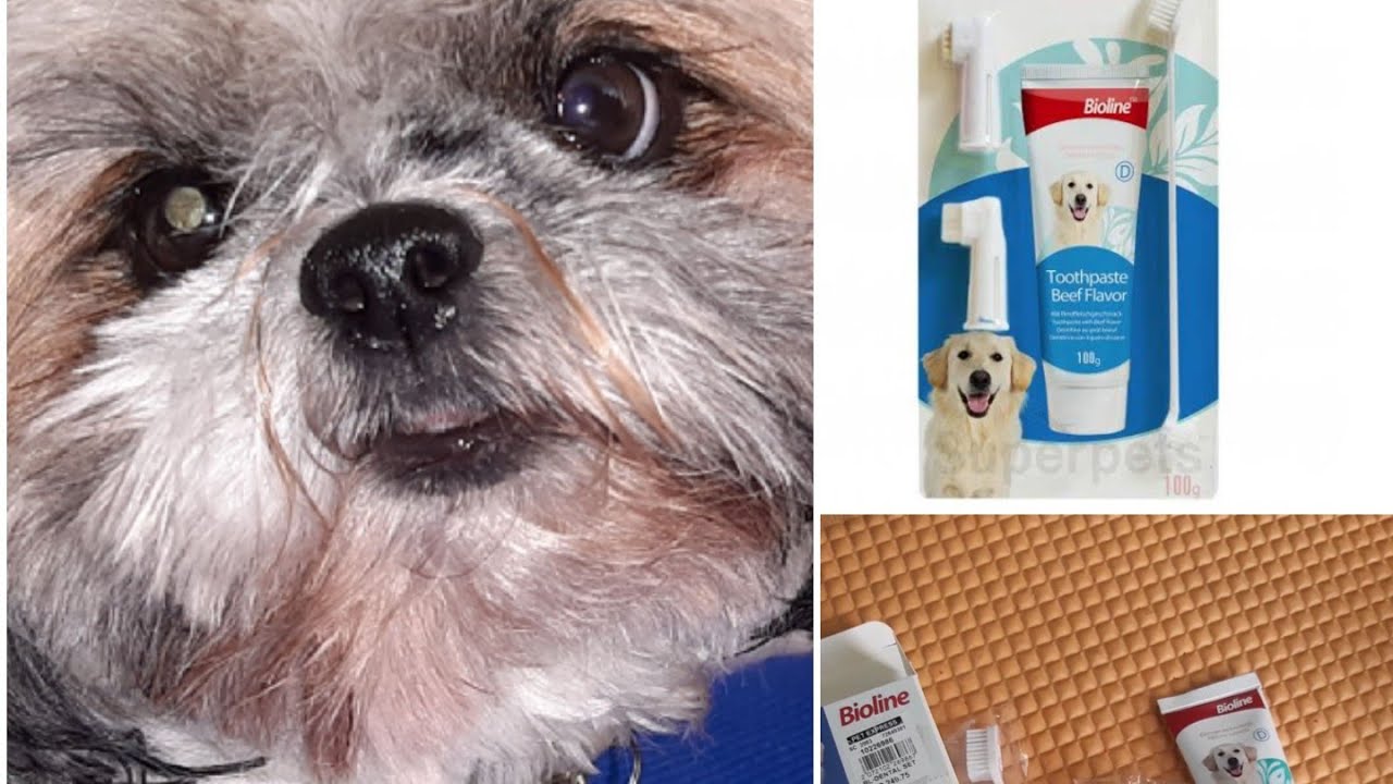 Unboxing Bioline Dental Oral Care Kit YouTube