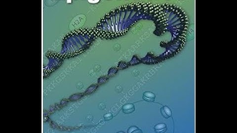 Epigenetics, DNA and PBS