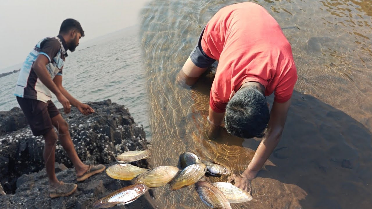 मासे पकडायला गेलो आणि तोडय घेऊन आलो , समुद्रावरची मासेमारी | Fishing in kokan @TejaGurav 