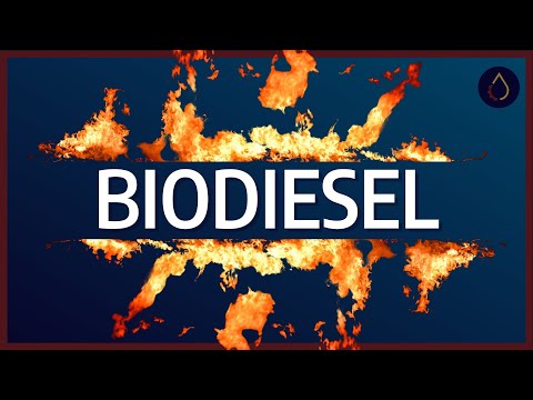 How does biodiesel