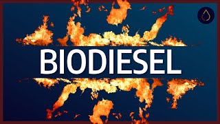 How does biodiesel impact engines?