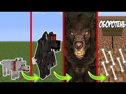 Видео: КАК МЕНЯЛСЯ ОБОРОТЕНЬ И ЕГО ЖИЗНЕННЫЙ ЦИКЛ В MINECRAFT | ЭВОЛЮЦИЯ ОБОРОТНЯ В МАЙНКРАФТЕ