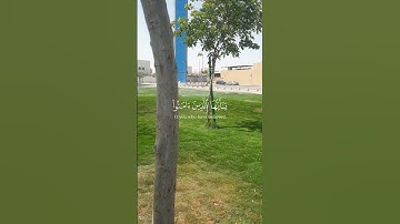سورة الأحزاب اللهم صلى وسلم على سيدنا محمد