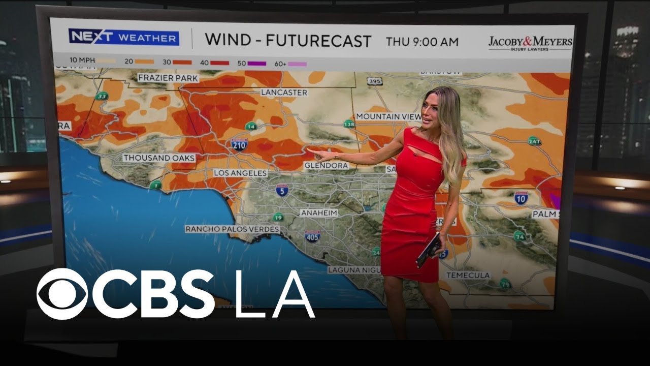 Dani Ruberti's NEXT Weather Forecast