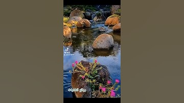 تلاوة خاشعة القارئ مختار الحاج