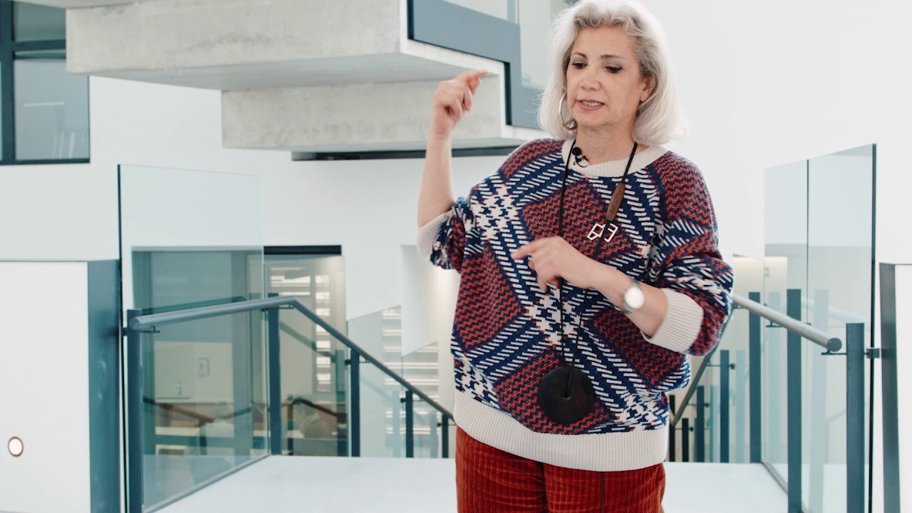 Escola Massana - Carme Pinós