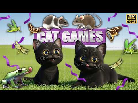 CAT GAMES 🐾3D Game for Cats | Video for Cats  – Ultimate CAT TV #158😻 4K60FPS