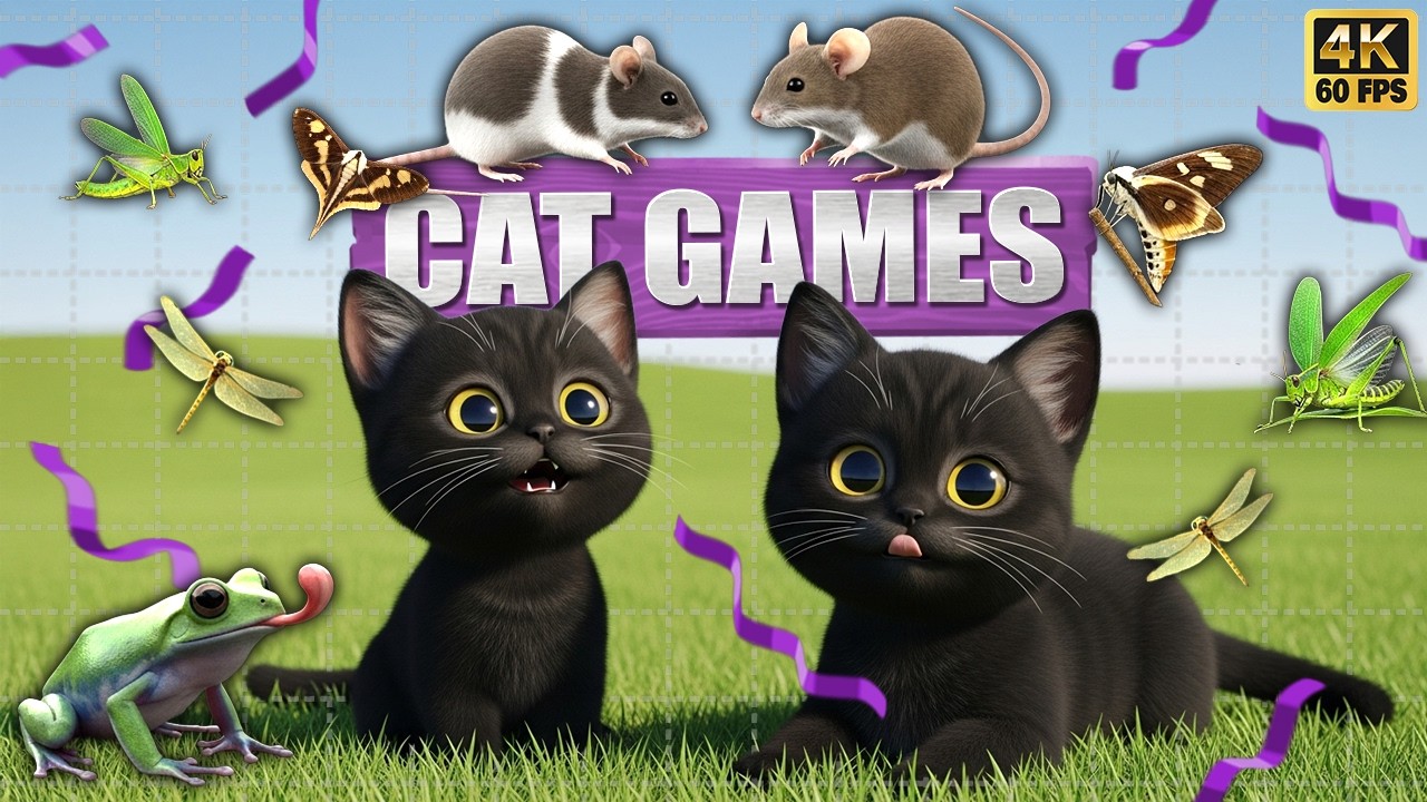 CAT GAMES 🐾3D Game for Cats | Video for Cats  – Ultimate CAT TV #158😻 4K60FPS