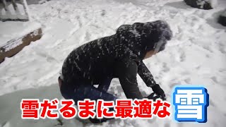 蜂飛々夢　～ Snow or Gay Masuo
