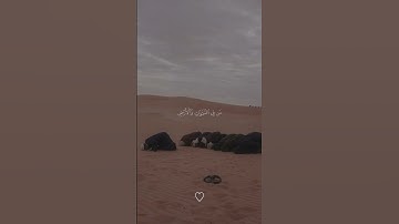 حالات واتس اب قران 💛🖇️|| حالات واتس قرآن || تلاوة خاشعة || Quran Status💚🍃#ماهر_المعيقلي 🎧💙