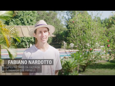 Produção de Soja