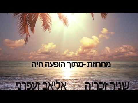 שניר זכריה אליאב זעפרני מחרוזת הופעה חיה 