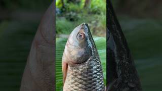 Delicious masala rohu fish fry recipe 😋 #shorts #food #tawamasalafishfry #cooking #foryou