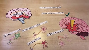 How do we move around the world?