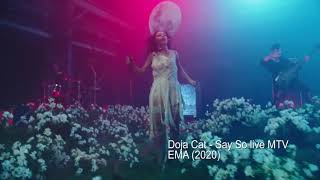 Did Doja Cat's band copy Plini?