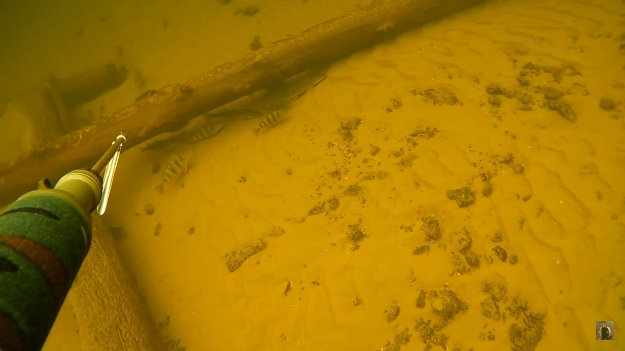 Подводная охота 26.02.2017г.р.Волга