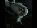 Help me reach 400 subscribers please #harrypotter #harrypotteredit
