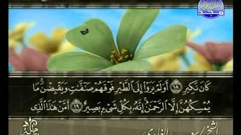 سورة الملك بصوت الشيخ سعد الغامدي المجد للقرآن الكريم