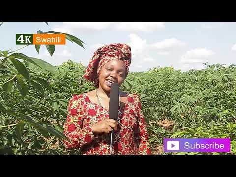 Video: Aina Na Kilimo Cha Dicentra