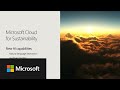 New AI capabilities, including Copilot in Microsoft Cloud for Sustainability