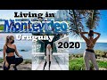 What its like to live in Uruguay | Expat Life | 6 Month Update