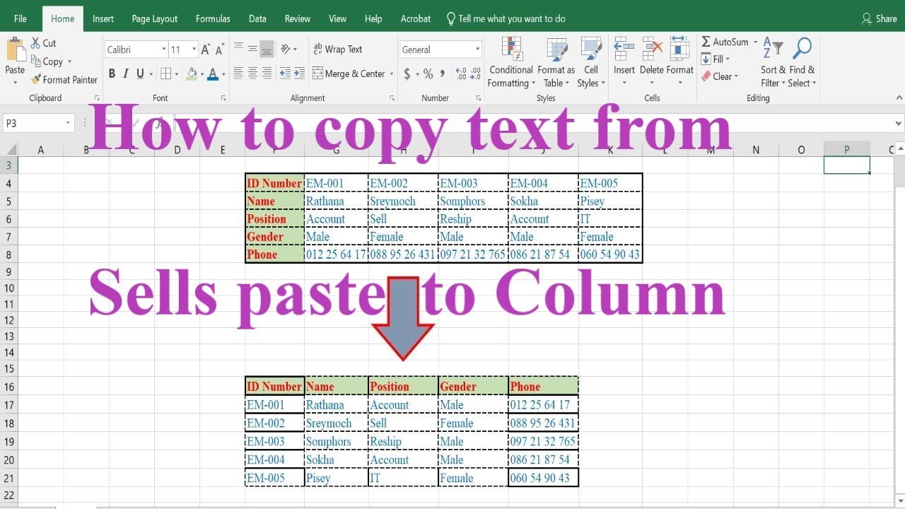 how to copy text from Sells paste to column. របៀប copy ...