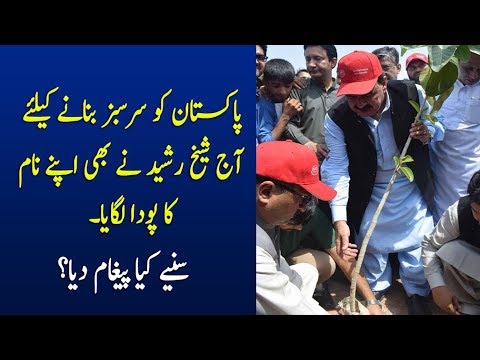 Sheikh Raheed Planted Trees To Make Pakistan Green - Pant 4 Pakistan