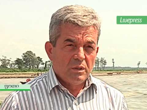 უბედური შემთხვევა ფოთში