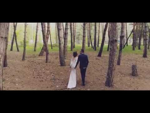 გასეირნება წყნეთის ტყეში