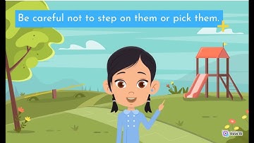 Respecting Public Property  - Video 1