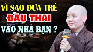 Nghiệp Quả Giữa Cha Mẹ Và Con Cái - Vì Sao Đứa Trẻ Lại Chọn Bạn - Lý Giải Về Câu Chuyện Nhân Quả Hay