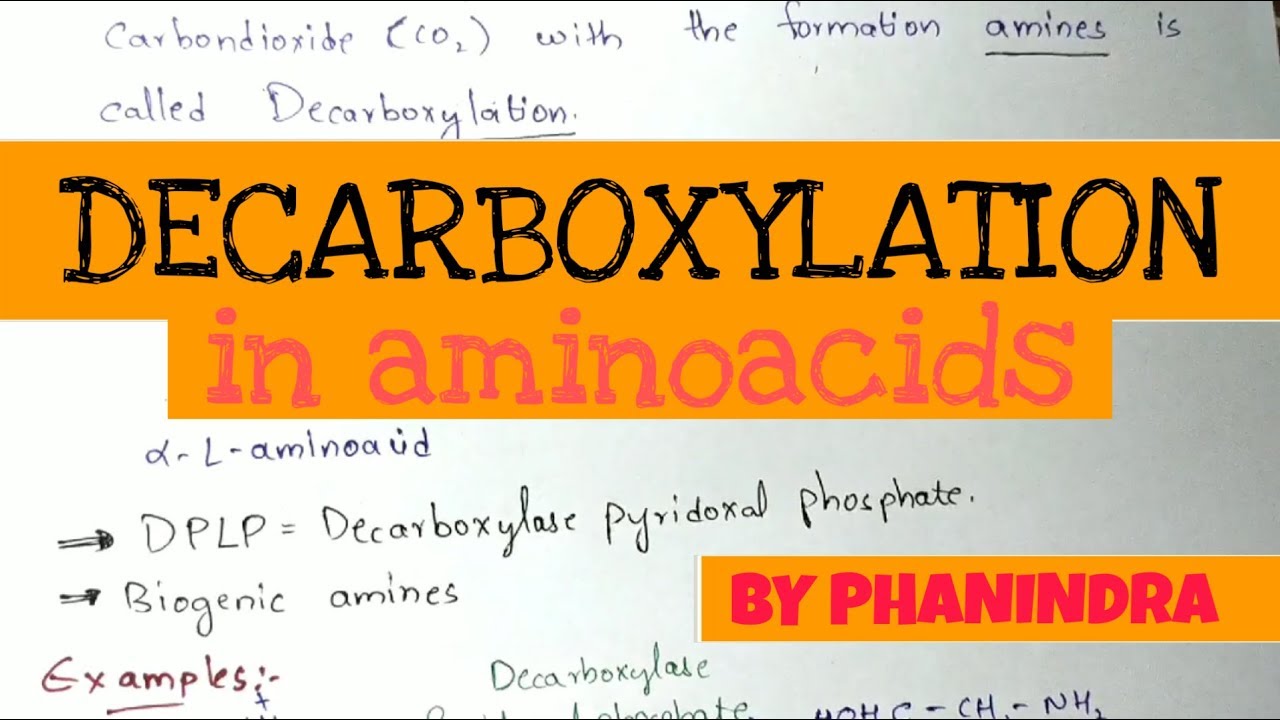 decarboxylation of amino acids example
