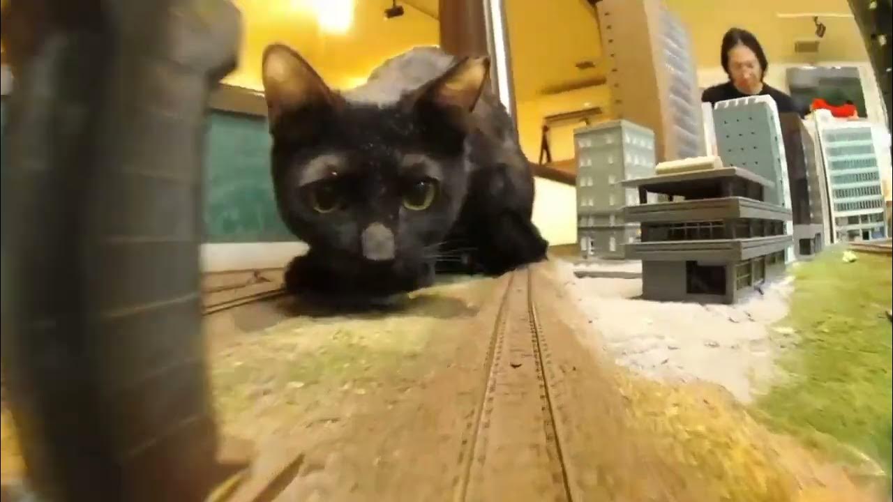 Love to yourself. Create картинка. Мерфи джозеф great success. Help yourself картинка. Help yourself картинка.