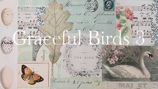 Graceful Birds 3 - Lets Stuff This Journal -  @SamPoole   @DorothyJanetoo ​