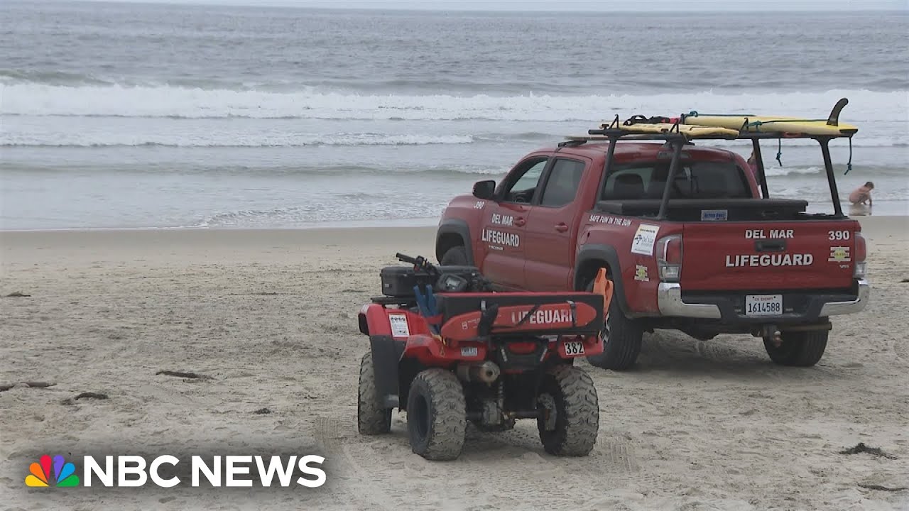 Shark attack closes California beach