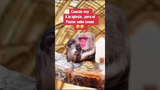 #paratiiiii #humor
