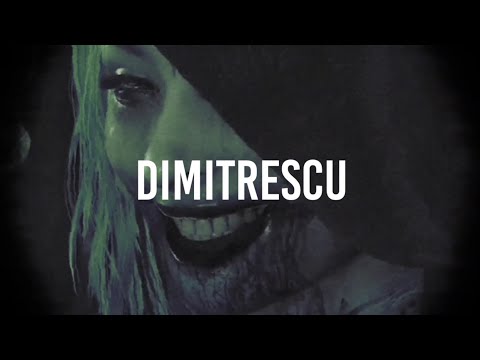 FAKE LXVE - DIMITRESCU (Lyric video)