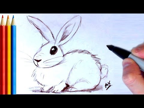 How to Draw / Sketch a Rabbit - Step by Step Tutorial - YouTube