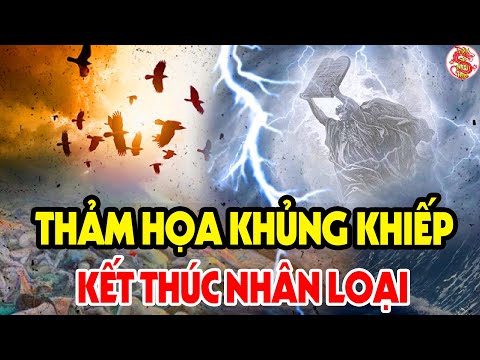 Video Các Nhà Khoa Học Sửng Sốt Với Những Hiện Tượng Kỳ Lạ... - YouTube