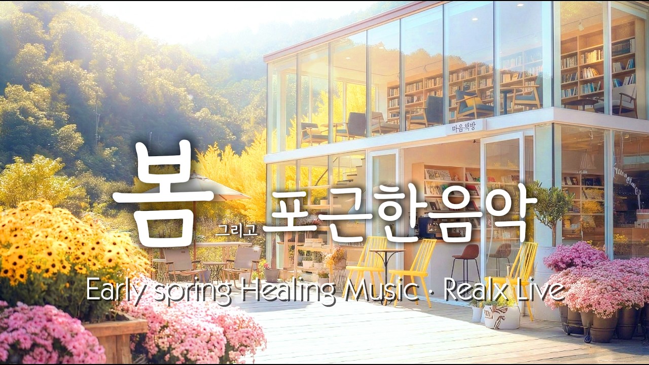 [🌸마음책방] 🌊 머릿속을 맑게 비워주는 상쾌한 오전 연주 | 🔴Live Replay: Transparent Melodies for a Fresh Mind